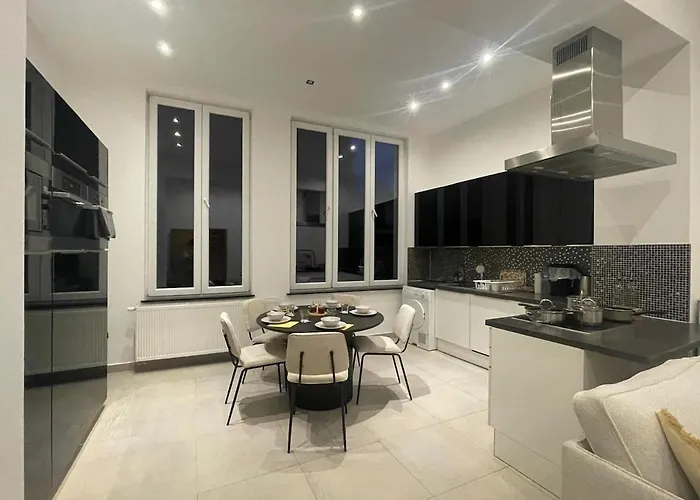 Cozy And Luxurious Apartment In Brussels, Laeken