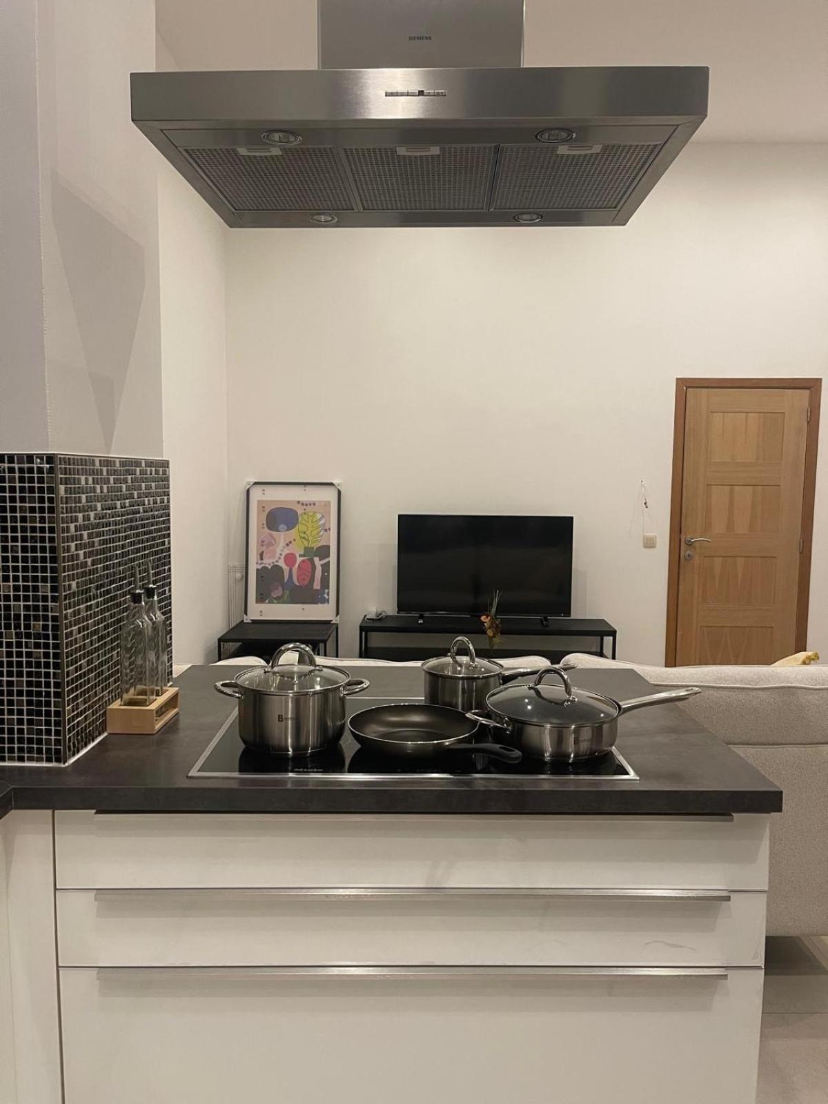Apartment Cozy And Luxurious In Brussels, Laeken